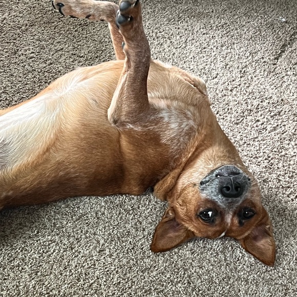 Quick list item - Picture 2 of 3